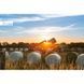 Плівка для сінажу SILAGE WRAP FOIL 0,25x1800м - БІЛА, AK-WF250X1800WH
