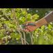 Секатор Gardena PremiumCut fresh wood 22 мм