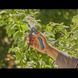 Секатор Gardena PremiumCut fresh wood 22 мм