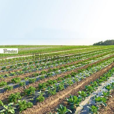 Плівка для мульчування без отворів, 0,8м х 50м, 15 мкм., чорний, AK-MFG1150800050BB AK-MFG1150800050BB фото