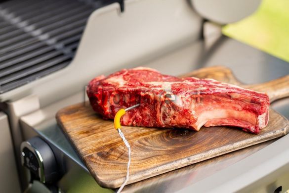 Датчик к Bluetooth термометрам WEBER iGrill для измерения температуры внутри гриля 7212 фото