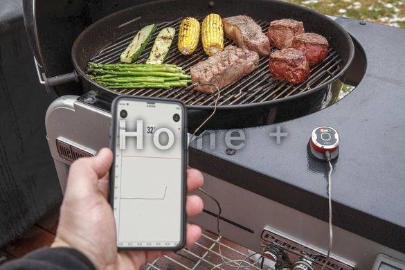 Термометр Weber iGrill&trade; mini 7220 фото