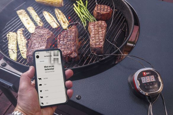 Bluetooth термометр WEBER iGrill 2 7221 фото