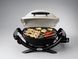 Газовий гриль Weber Q 1000, титановий