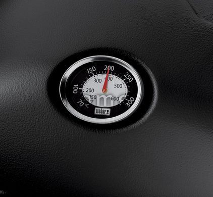 Газовый гриль Weber Q 1200, черный 51010075 фото