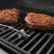 Дротовий щуп температури решітки Weber