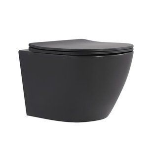 Унитаз подвесной Robin Ultra Quiet 490&times;365&times;325&nbsp;мм, Anthracite, с сиденьем Slim Duroplast / Soft-close / Quick Release SD00054283 фото