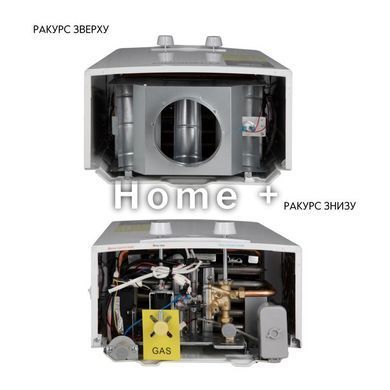 Газовая колонка Thermo Alliance дымоходная JSD20-10QB EURO 10 л SD00024548 фото