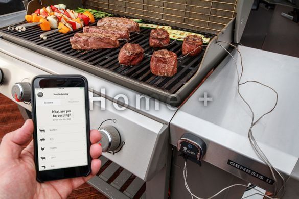 Термометр WEBER iGrill 3 7205 фото