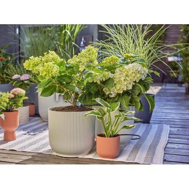 Комплект для полива Gardena Micro-Drip-System Terrace Set на 30 растений