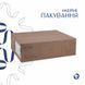 Раковина Qtap Scorpio 500х380х145 White QT1411K490WN