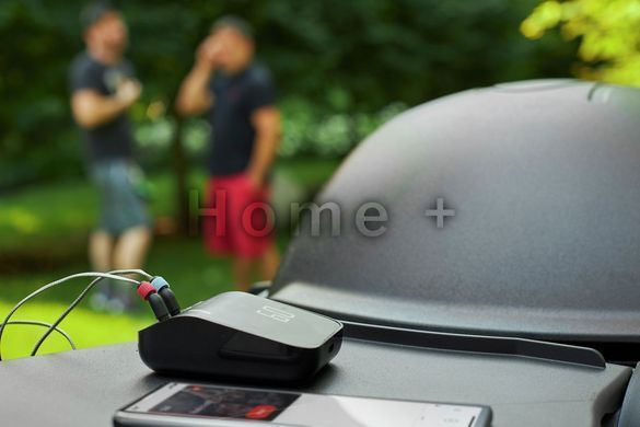 Смарт-термометр Weber Grilling Hub 3202 фото