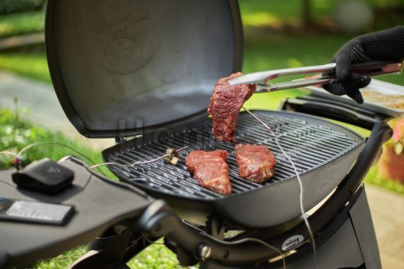 Смарт-термометр Weber Grilling Hub 3202 фото