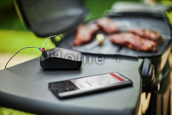 Смарт-термометр Weber Grilling Hub 3202 фото
