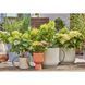 Комплект для полива Gardena Micro-Drip-System Balcony Set на 15 растений