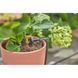 Комплект для полива Gardena Micro-Drip-System Balcony Set на 15 растений