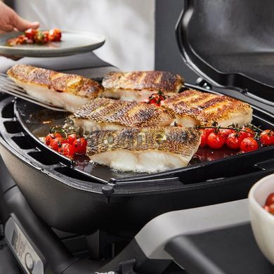 Чавунна планча для серії Weber Q 3000 3400868 фото