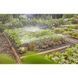 Комплект для полива Gardena Micro-Drip-System клумб и грядок площадью до 60 м2