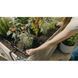 Комплект для полива Gardena Micro-Drip-System Raised Bed Set для высоких грядок на 35 растений