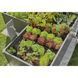 Комплект для полива Gardena Micro-Drip-System Raised Bed Set для высоких грядок на 35 растений