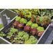 Комплект для полива Gardena Micro-Drip-System Raised Bed Set для высоких грядок на 35 растений