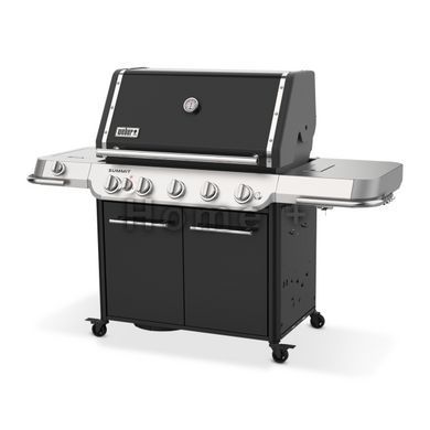 Газовый гриль Weber Summit FS38 E 4550631 фото
