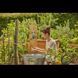 Таймер подачи воды Gardena Easy