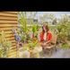 Таймер подачи воды Gardena Easy