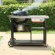 Угольный гриль Weber Performer Premium