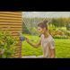 Таймер подачи воды Gardena Easy Plus