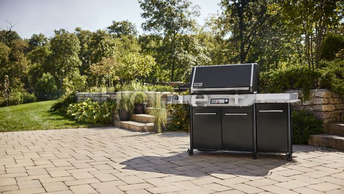 Газовый гриль Weber Summit FS38X E Smart 1500068 фото