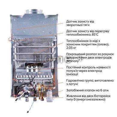 Газовая колонка Thermo Alliance дымоходная JSD20-10GC 10 л стекло(горы) SD00031247 фото