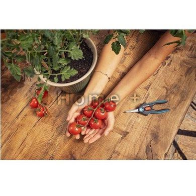 Ножиці для трави та квітів Gardena FreshCut