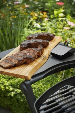 Гриль газовый Weber Q 2200,черный 54010029 фото