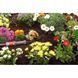 Шланг сочащийся Gardena для наземной прокладки