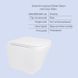 Комплект Унитаз подвесной Jay Ultra Quiet QT07335177W 485х360х320 + Tern Ultra Quiet QT17332303ASW