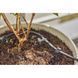 Шланг подающий Gardena 4,6 мм.