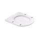 Напольный унитаз Qtap Swan безободковый с сиденьем Soft-close QT16223178W