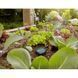 Датчик влажности грунта GARDENA