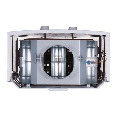 Колонка газовая дымоходная Thermo Alliance JSD20-10YD PIEZO 10 л SD00055175 фото