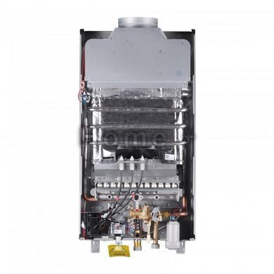 Колонка газовая дымоходная Thermo Alliance JSD20-10CR SILVER 10 л SD00055170 фото