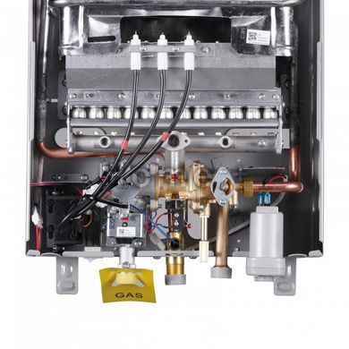 Колонка газовая дымоходная Thermo Alliance JSD20-10CR SILVER 10 л SD00055170 фото