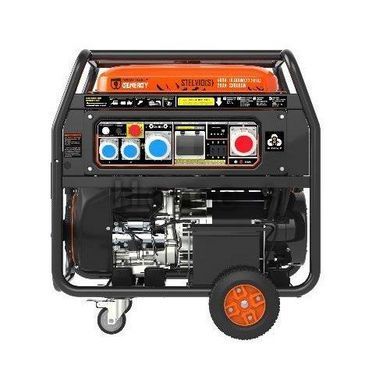 Генератор бензиновий GENERGY STELVIO 18 кВт 240045090 фото