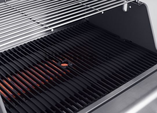 Встраиваемый газовый инфракрасный гриль CROSSRAY&reg; 2 by Heatstrip горелки Crossray (2 х 3,1 кВт) TCS2EU30 1772463250 фото