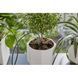 Набор Gardena Holiday Watering для полива в выходные дни